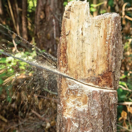 Hand Chainsaw Portable